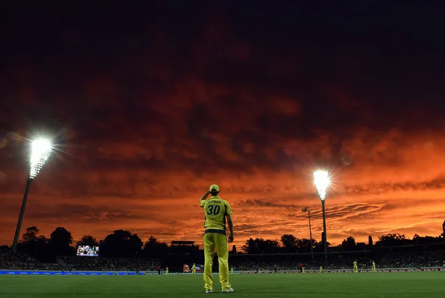 Australia's paceman Pat Cummins fields at the boundary line as the sun sets during the second game of the One Day International Cricket series between Australia and New Zealand in Canberra on December 6, 2016. (Photo by Saeed Khan/AFP Photo)