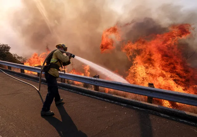 A firefighter battles a fire along the Ronald Reagan Freeway, aka state Highway 118, in Simi Valley, Calif., Monday, November 12, 2018. (Photo by Ringo H.W. Chiu/AP Photo)