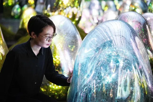 A staff member interacts with an ovoid at the artwork “Moss Garden of Resonating Microcosms – Solidified Light Color, Sunrise and Sunset” by Japanese creative group teamLab presented during a press preview at the “teamLab Planets” in Tokyo, Japan, 29 June 2021. The interactive digital art museum presented its new “Garden Area” with a three-dimensional floating flower garden and ovoids displayed in a moss garden. (Photo by Franck Robichon/EPA/EFE)