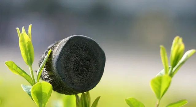 Carbone Aerogel The New Lightest Material