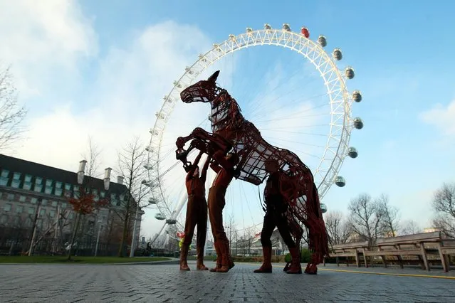 Joey, the star of War Horse, during a photocall at the EDF Energy London Eye, to celebrate War Horse reaching its 2000th West End performance, on January 21, 2014. (Photo by Sean Dempsey/PA Wire)