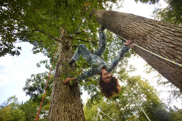 Serenity Smith Forchion, co-founder and creative director for Nimble Arts, dances up in the trees at her Brattleboro, Vt., home while practicing her routine for Circus in Place on Wednesday, October 6, 2021. (Photo by Kristopher Radder/The Brattleboro Reformer via AP Photo)