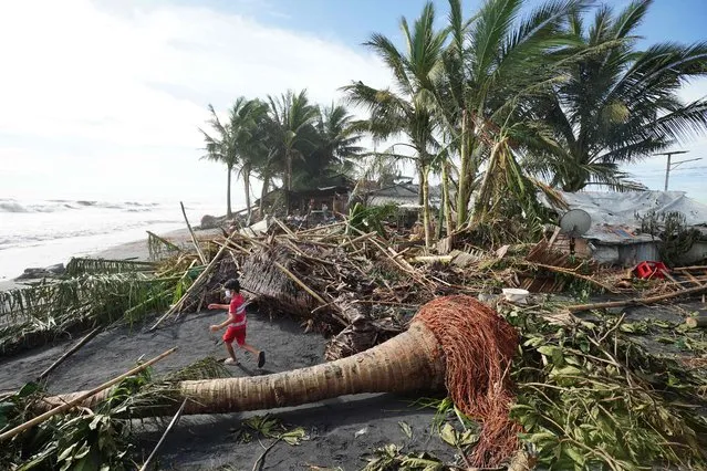 A child plays next to uprooted coconut and banana trees in the coastal town of Dulag in Leyte province on December 17, 2021, a day after Super Typhoon Rai hit. (Photo by Bobbie Alota/AFP Photo)