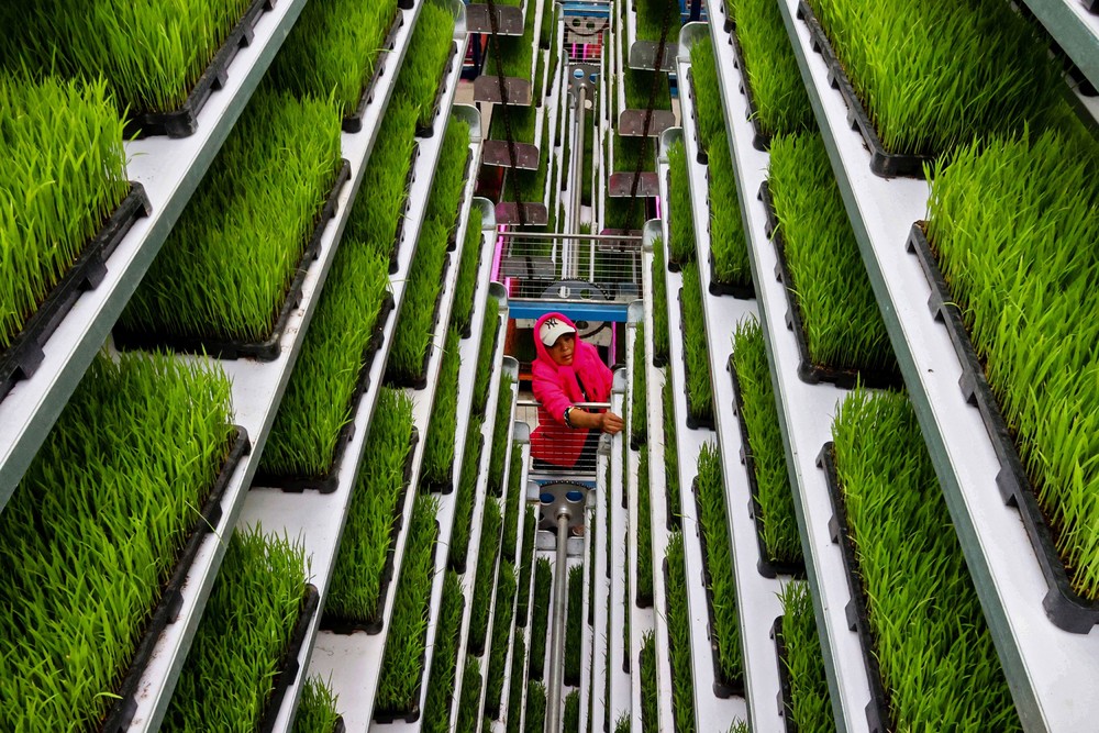 A Look at Life in China