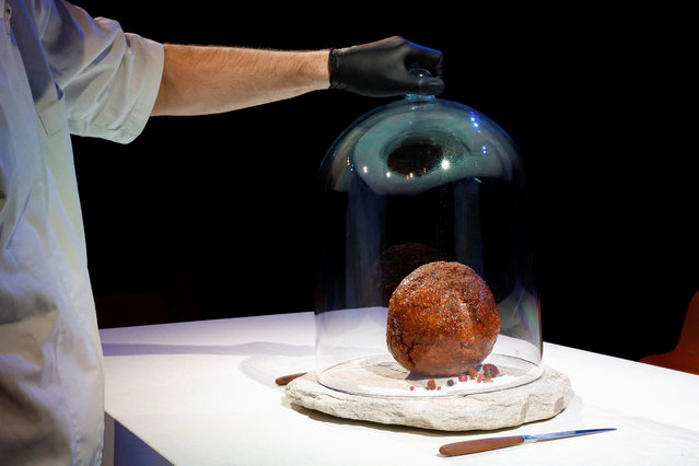 A meatball made from flesh cultivated using the DNA of an extinct woolly mammoth is presented at NEMO Science Museum created by a cultured meat company, in Amsterdam, Netherlands on March 28, 2023. (Photo by Piroschka van de Wouw/Reuters)