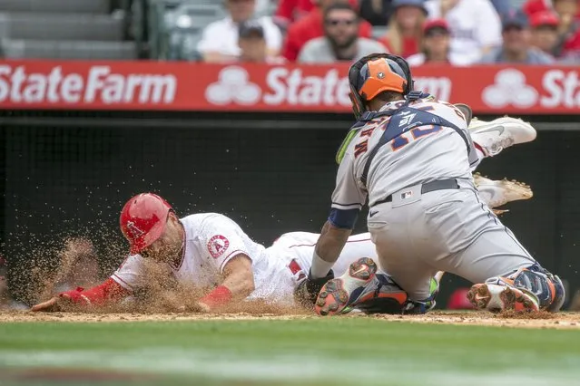 Houston Astros catcher Martin Maldonado, right, tags out Los Angeles Angels' Tyler Wade for a double play, on a fly ball out by Mike Trout, during the third inning of a baseball game in Anaheim, Calif., Sunday, April 10, 2022. (Photo by Alex Gallardo/AP Photo)