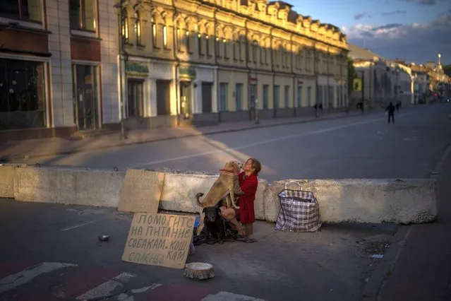 A woman begs for alms to feed her dogs in Kyiv, on Saturday, April 30, 2022. (Photo by Emilio Morenatti/AP Photo)
