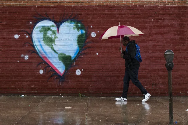 A man walks past a mural the day before Earth Day, in Philadelphia, Friday, April 21, 2017. (Photo by Matt Rourke/AP Photo)