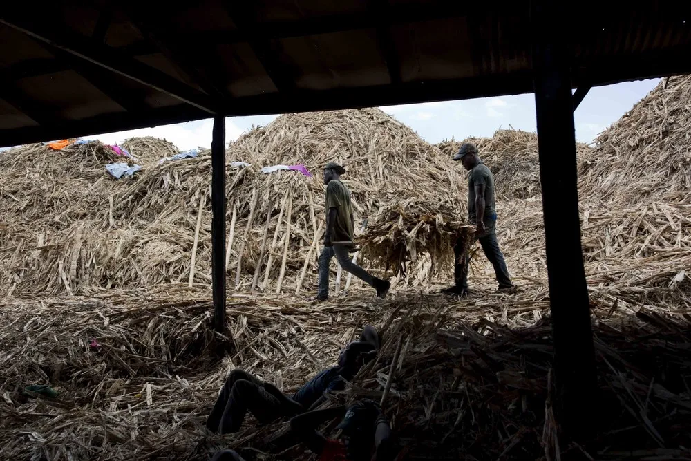 Haiti's Rustic, Rum-like Clairin