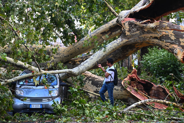 A man takes a photo of a car crushed under a fallen tree in Milan on July 25, 2023 after an overnight rainstorm hit the city. (Photo by Piero Cruciatti/AFP Photo)