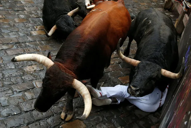 A runner falls in the path of Nunez del Cuvillo bulls during the seventh running of the bulls at the San Fermin festival in Pamplona, northern Spain, July 13, 2016. (Photo by Susana Vera/Reuters)