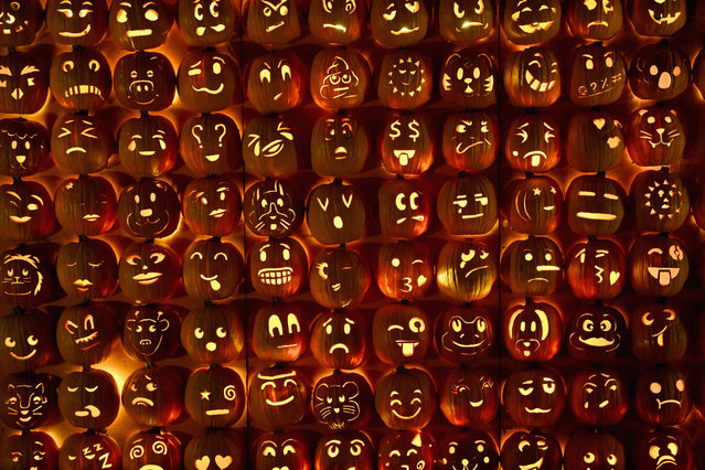 Carved pumpkins are displayed during “The Great Jack O'Lantern Blaze” in Croton-on-Hudson, New York October 25, 2023 ahead of Halloween. The event features over 7,000 hand-carved, illuminated pumpkins. (Photo by Angela Weiss/AFP Photo)