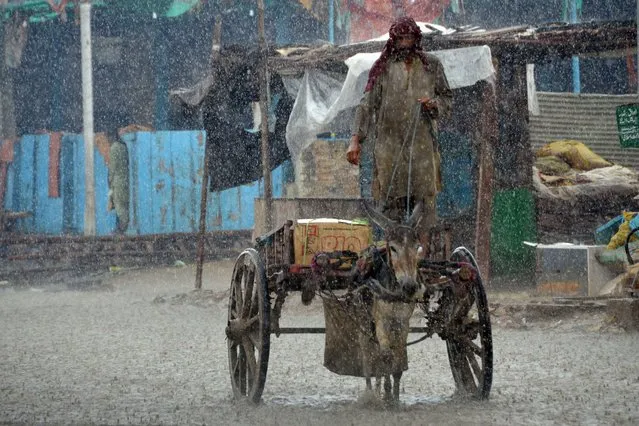 A man rides on his donkey cart during a heavy rainfall in the flood hit Dera Allah Yar town in Jaffarabad district, Balochistan province, on August 30, 2022. Aid efforts ramped up across flooded Pakistan on August 30 to help tens of millions of people affected by relentless monsoon rains that have submerged a third of the country and claimed more than 1,100 lives. (Photo by Fida Hussain/AFP Photo)