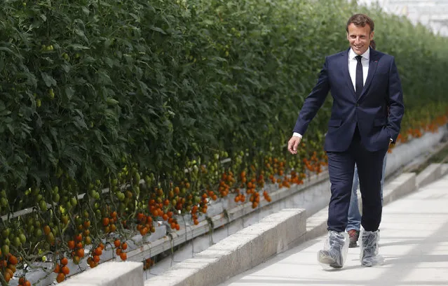 French President Emmanuel Macron walks in a greenhouse for tomatoes as he visits the Roue farm in Cleder during a day trip centered on agriculture amid the coronavirus disease (COVID-19) outbreak in Brittany, France, April 22, 2020. (Photo by Stephane Mahe/Pool via SIPA Press)