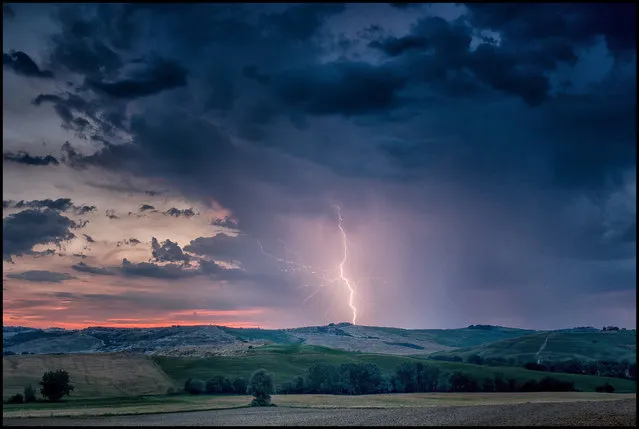 “Tuscan Lightning”. I captured this lightning near Pienza in Tuscany. Photo location: Italy. (Photo and caption by Oliver Hartmann/National Geographic Photo Contest)