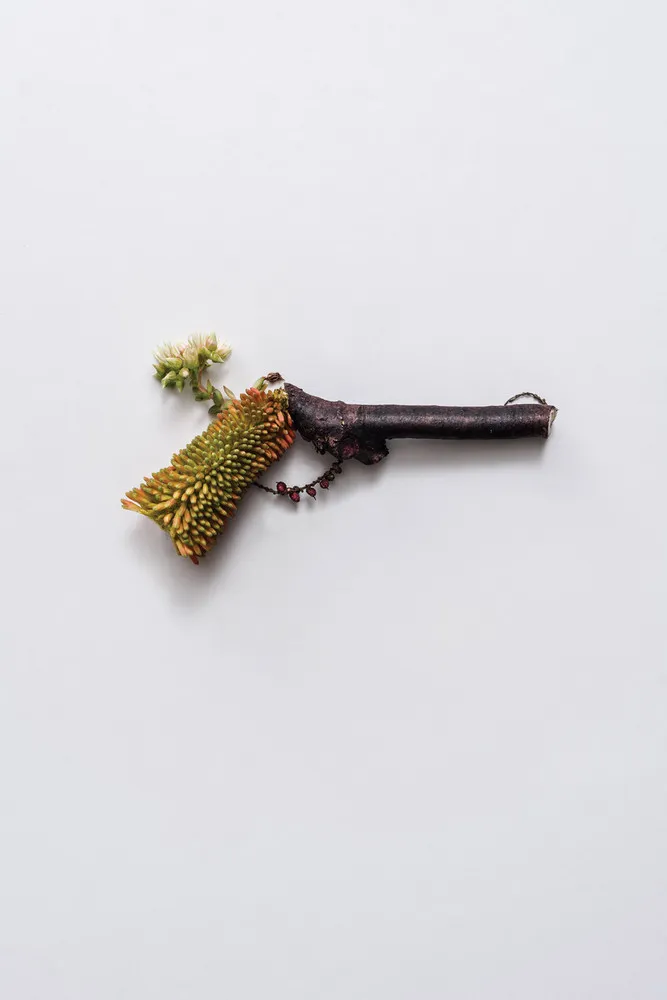 Harmless Weapons by Sonia Rentsch