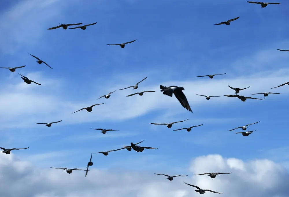 Simply Some Photos Heaven