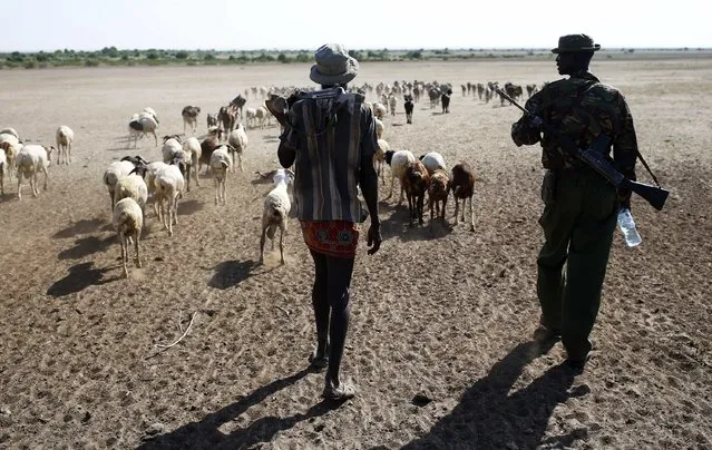 Turkana men carry rifles as they herd goats inside the Turkana region of the Ilemi Triangle, northwest Kenya December 21, 2014. (Photo by Goran Tomasevic/Reuters)