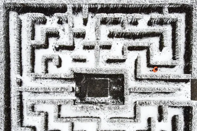 A municipal gardener walks through a snowy maze in a park in Gelsenkirchen, western Germany, on a winter Wednesday, March 8, 2023. A snow front has hit Germany also in the lowlands. More snow and cold temperatures are expected all over Germany in the next days. (Photo by Martin Meissner/AP Photo)