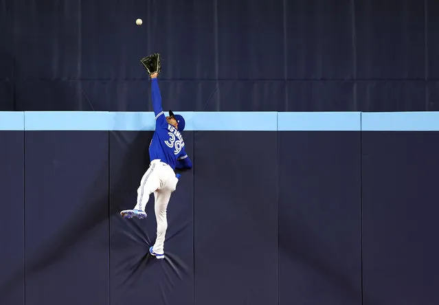 Kevin Kiermaier #39 of the Toronto Blue Jays catches a ball at the wall hit by Kerry Carpenter #30 of the Detroit Tigers for the first out of the second inning at Rogers Centre on April 11, 2023 in Toronto, Ontario, Canada. (Photo by Vaughn Ridley/Getty Images)