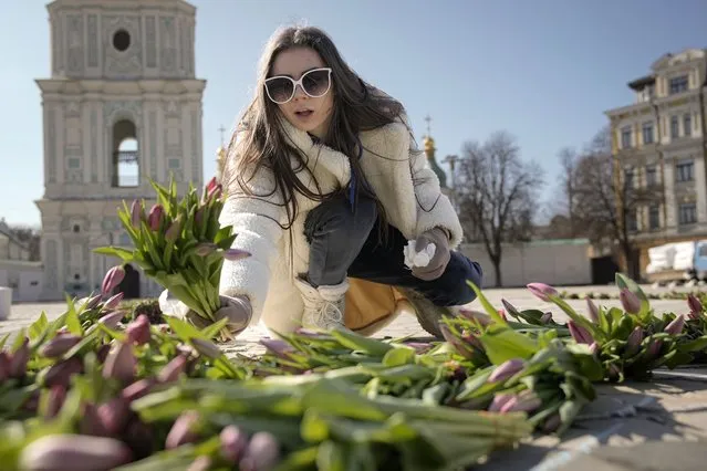 A woman arranges bunches of tulips on the pavement in Sophia square in Kyiv, Ukraine, Friday, March 18, 2022. Residents of the Ukrainian capital of Kyiv on took to a central square to arrange some 1.5 million tulips in the shape of the country's coat of arms, in a defiant show of normalcy as Russian forces surround and bomb the city. (Photo by Vadim Ghirda/AP Photo)