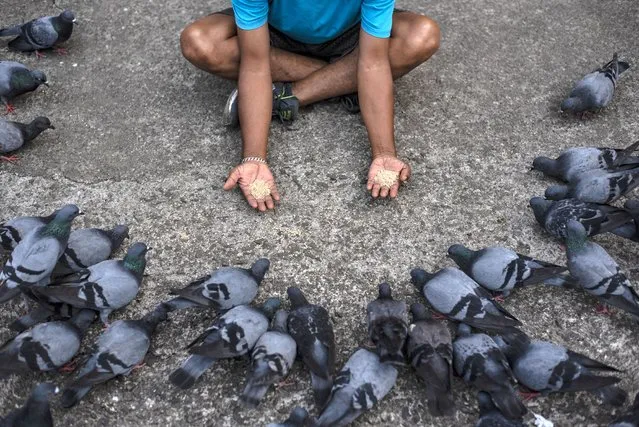 A man feeds pigeons after his morning walk outside the Jawaharlal Nehru stadium in Kochi, Kerala state, India, Tuesday, February 16, 2021. (Photo by R.S. Iyer/AP Photo)