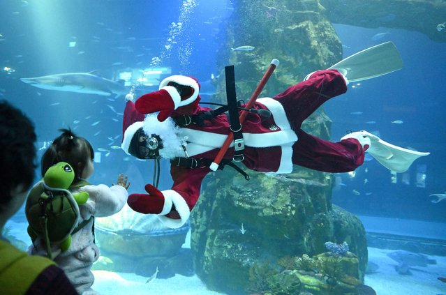 A diver dressed as Santa Claus waves to visitors during a Christmas-themed underwater show at Lotte World Aquarium in Seoul on December 23, 2024. (Photo by Jung Yeon-je/AFP Photo)
