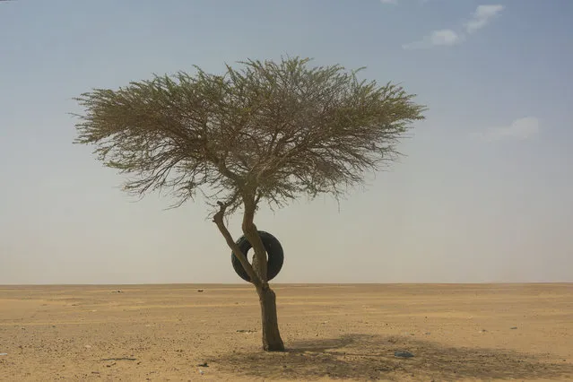 A tire used as a road marker hangs from a tree in Niger's Tenere desert region of the south central Sahara on Sunday, June 3, 2018. On the map, it links Algeria’s Mediterranean coast to the distant Atlantic shore in Nigeria. Along the way, however, the Trans-Sahara highway frequently deteriorates from black tar into sand tracks. (Photo by Jerome Delay/AP Photo)
