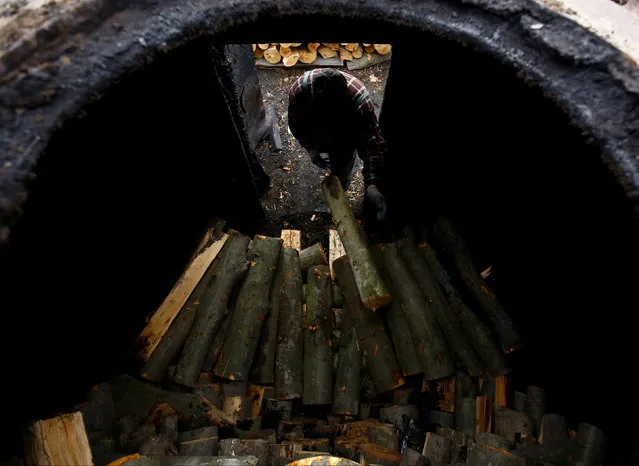 Charcoal burner Zygmunt Furdygiel loads wood into a charcoal furnace at a charcoal making site in the forest of Bieszczady Mountains, near the village of Baligrod, Poland October 27, 2016. (Photo by Kacper Pempel/Reuters)