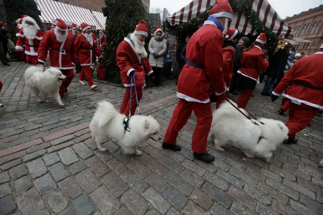 People dressed as Santa Claus participate in the Santa's Fun Run charity event in Riga, Latvia December 11, 2016. (Photo by Ints Kalnins/Reuters)