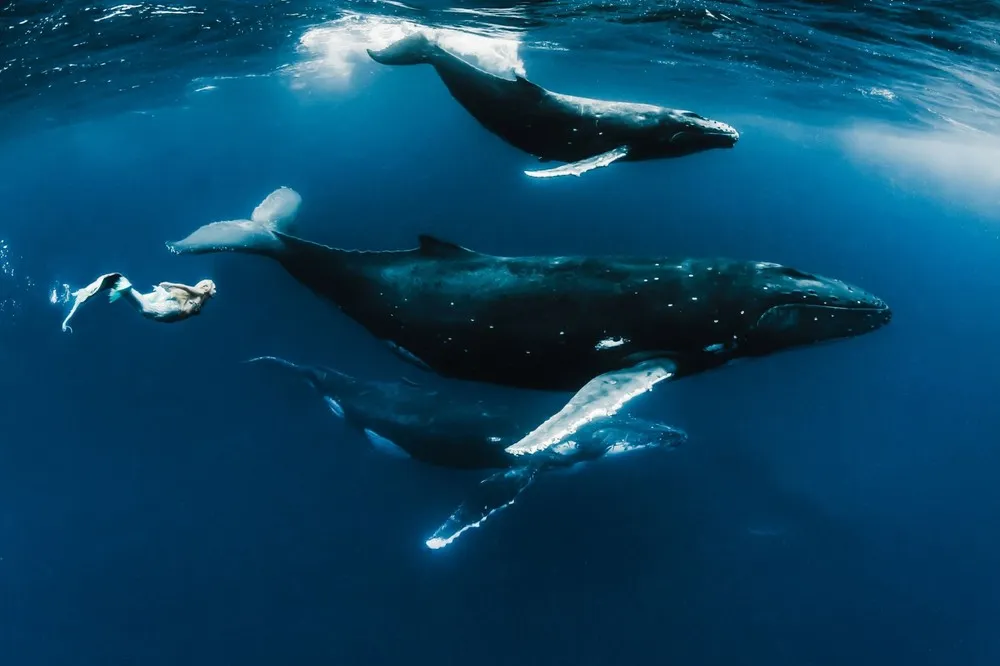 Model's Underwater Shoot with Whales