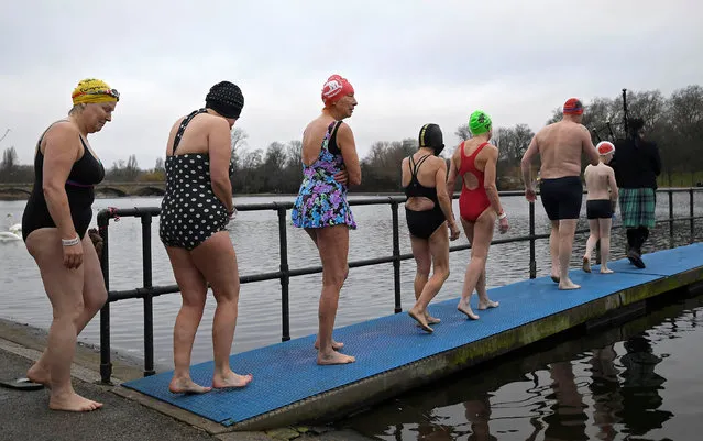 Swimmers prepare to start the annual Christmas day race in the Serpentine lake in Hyde Park in London, Britain, December 25, 2016. (Photo by Toby Melville/Reuters)