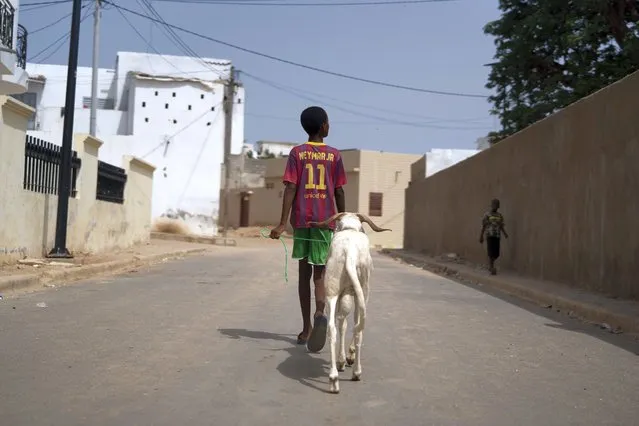 A young boy leads a sheep away, gifted by the Secours Islamique France, Bargny, Senegal, Wednesday, July 14, 2021. (Photo by Leo Correa/AP Photo)