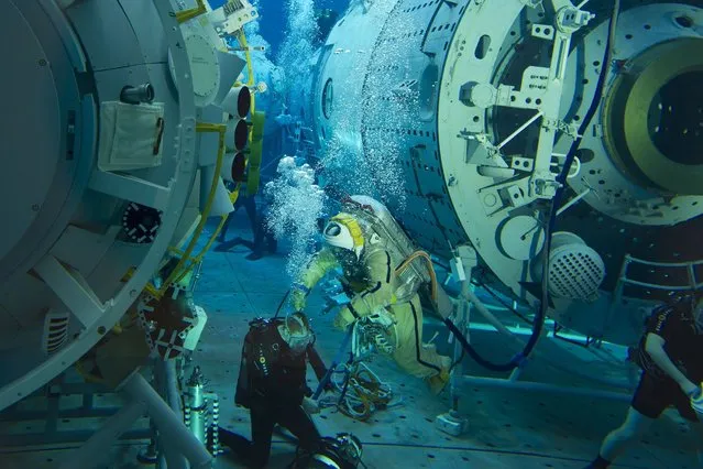 Wearing his spacesuit Russian cosmonaut Oleg Artemyev takes part in a preflight underwater training session in a pool at the Gagarin Cosmonauts' Training Centre in Star City centre outside Moscow on December 4, 2013. Oleg Artemyev is scheduled to blast off to the International Space Station (ISS) from the Russian leased Kazakhstan's Baikonur cosmodrome in March 2014. (Photo by AFP Photo/STR)