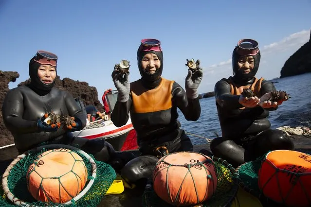 “Haenyeo” divers show their catch after diving near Seongsan beach, Jeju island, South Korea, 19 November 2023. “Haenyeo”, female divers in the South Korean province of Jeju, hunt for shell fish, abalones, sea urchins, squid, octopus, small snails and seaweed without oxygen masks. (Photo by Jeon Heon-Kyun/EPA/EFE)