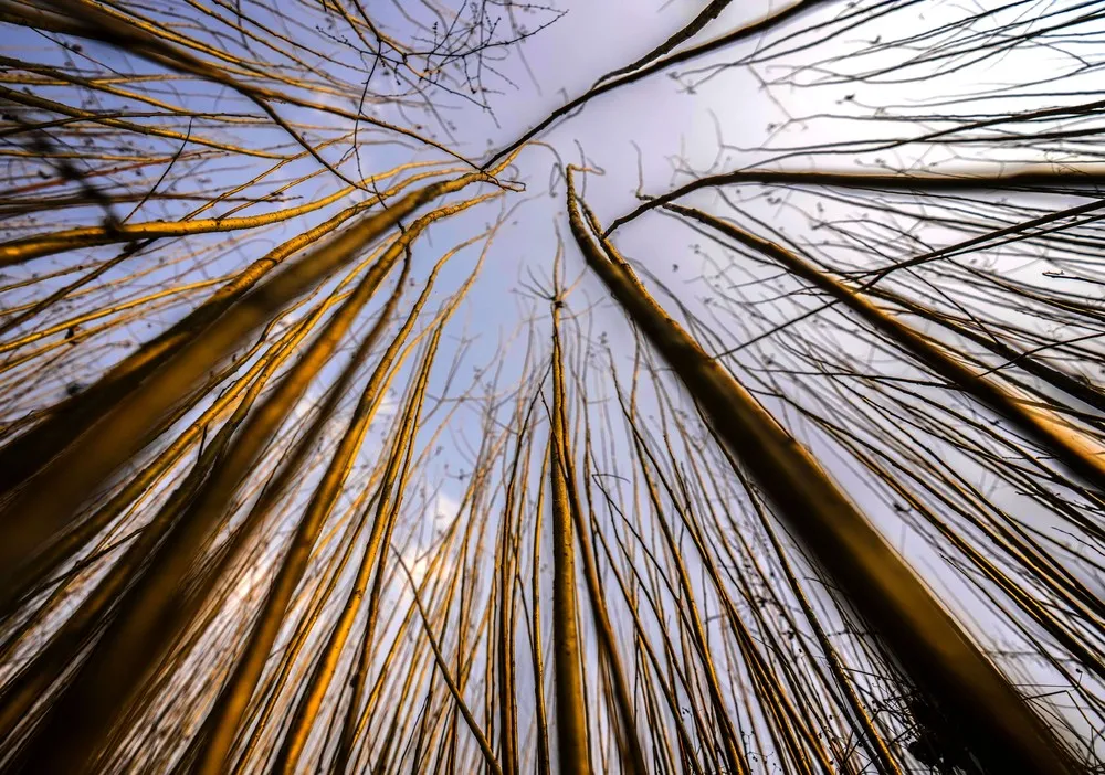 A Look at Life in India