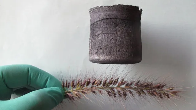 Carbon Aerogel The New Lightest Material