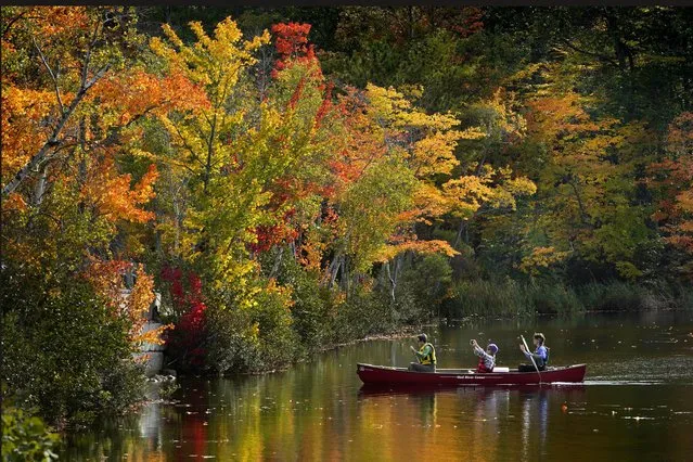 A passenger on a canoe photographs the brilliant fall foliage on South Pond, Saturday, October 9, 2021, in Bryant Point, Maine. Autumn leaves are reaching peak colors in much of the state. (Photo by Robert F. Bukaty/AP Photo)