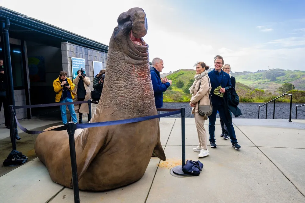 USA last Week, Part 1/2