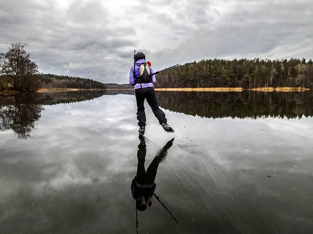 10. SWEDEN: A skater speeds on rain-wet ice on lake Orlangen, south of Stockholm December 15, 2013. (Photo by Tobias Rostlund/Reuters/TT News Agency)