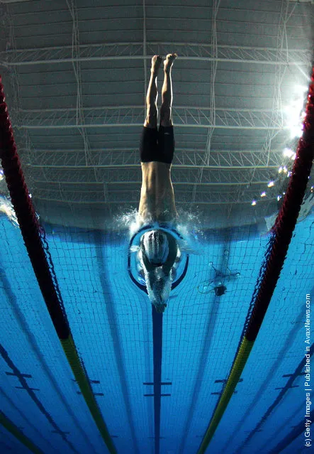 William Copeland of the United States dives into the pool during the men's 4x100m freestyle relay final during Day Two of the XVI Pan American Games