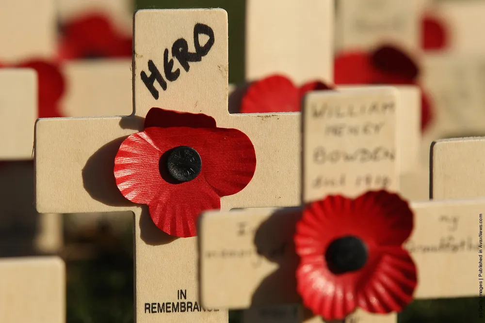 Scotlands First Field Of Remembrance Opens Ahead Of Armistice Day