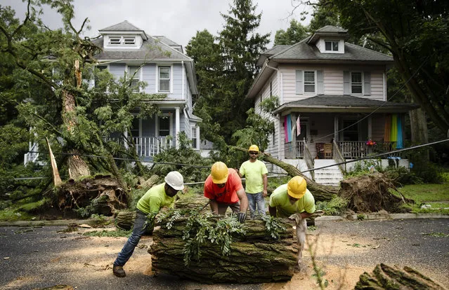 Arborist with the Dependable Tree Company work to remove a tree downed in a recent storm in Collingswood, N.J., Tuesday, July 23, 2019. Crews are working to restore electricity for hundreds of thousands of people in New Jersey after powerful storms blew across the state the day before. (Photo by Matt Rourke/AP Photo)
