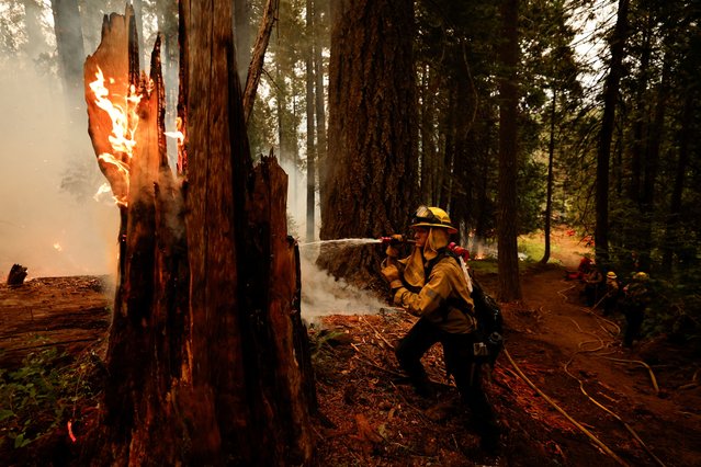 A firefighter knocks down a hot spot during a firing operation to slow the spread of the Park Fire near Mill Creek, California on August 7, 2024. (Photo by Fred Greaves/Reuters)