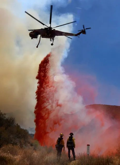 Fire fighters battle the so-called Sand Fire in the Angeles National Forest near Los Angeles, California, United States, July 25, 2016. (Photo by Gene Blevins/Reuters)