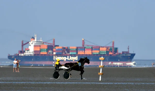 A horse rider competes during the traditional “Duhner Wattrennen” mudflat race in Cuxhaven, northern Germany on August 25, 2019. The traditional “horse race on the seabed” has been held since 1902. (Photo by Patrik Stollarz/AFP Photo)
