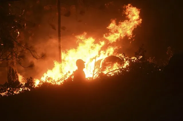 A firefighter watches as the King Fire burns near Fresh Pond, California September 17, 2014. (Photo by Noah Berger/Reuters)