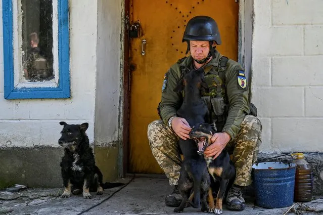 A Ukrainian service member pets dogs at a position near a frontline, amid Russia’s attack on Ukraine, in Zaporizhzhia region, Ukraine on September 21, 2022. (Photo by Dmytro Smolienko/Reuters)