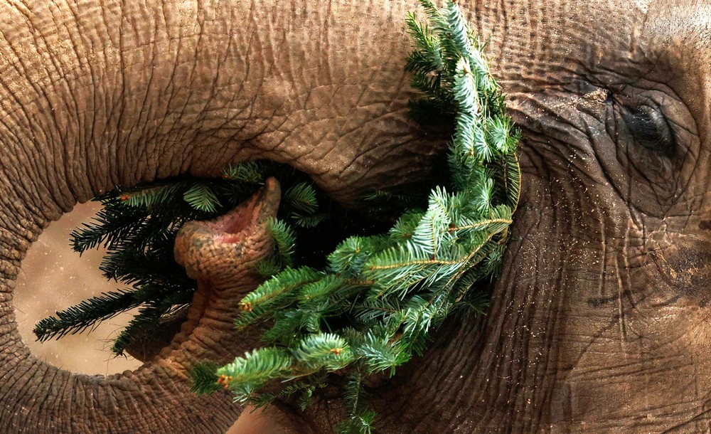 Pictures of the Year 2024, Part 010/240