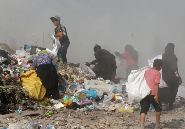 Garbage pickers collect recyclable materials at a rubbish dump in the outskirts of Baghdad, Iraq,  August 23, 2016. (Photo by Khalid al Mousily/Reuters)